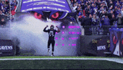 Happy National Football League GIF by Baltimore Ravens