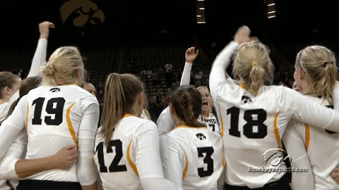 volleyball GIF by University of Iowa Hawkeyes Athletics