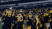 2018 Nfl Football GIF by NFL