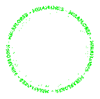 Gym Miraflores Sticker by xflyperu