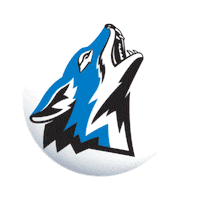 Csusbdodgers Sticker by CSUSB