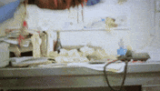 Worry No More Lil Yachty GIF by Diplo
