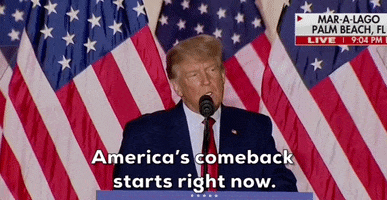 Donald Trump GIF by GIPHY News