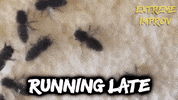 Run Running Late GIF by Extreme Improv