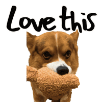 Corgi Love Sticker