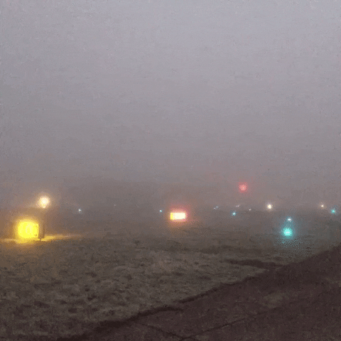 fog GIF by Solar Impulse