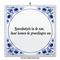 Wijsheid Licht GIF by Tegelspreuken.nl