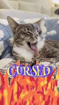 Cursed GIF
