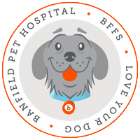 Puppy Petcare Sticker by BanfieldPetHospital