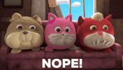 Cat No GIF by HangryPetz