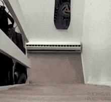 cat crawling GIF by Cheezburger