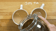 art eating GIF by PBS Digital Studios
