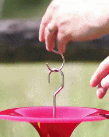 Bird feeder gif