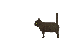 Cat Potbelly Sticker