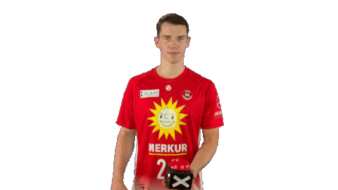 Time Out Handball Sticker by LIQUI MOLY HBL