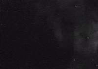 Horror Roam GIF by Wired Productions