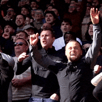 Fans Limbs GIF by MillwallFC