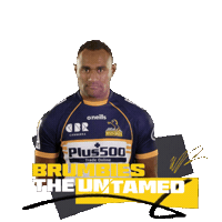 Super Rugby Act Sticker by BrumbiesRugby