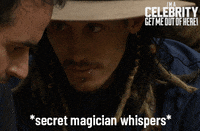 Imacelebrityau GIF by I'm A Celebrity... Get Me Out Of Here! Australia
