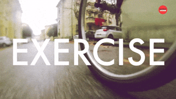 EXERCISE 