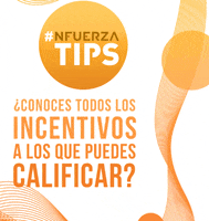 GIF by NFuerza