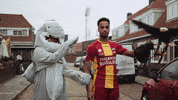 gaeagles  GIF