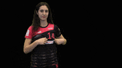 dhcplzen  GIF