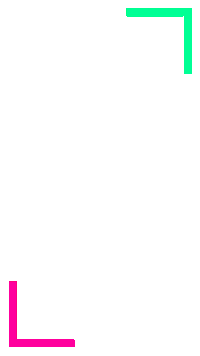 Rosa Verde Sticker by andressa felippe