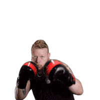 Boxing Newcastle Sticker by Redback Solutions