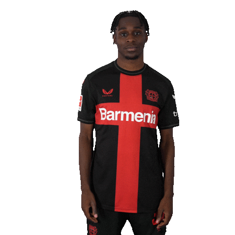 Posing Bayer 04 Sticker by Bayer 04 Leverkusen