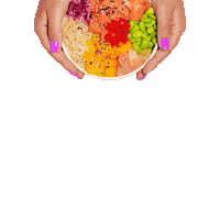 Poke Bowl Here You Go Sticker by I Love Poke