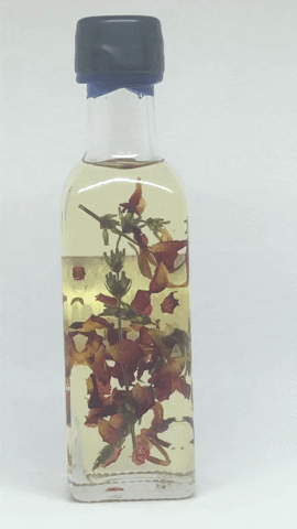 jillmann giphygifmaker GIF