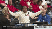 College Basketball What GIF by NCAA March Madness