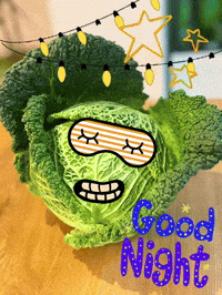 Good Night Wirsing GIF