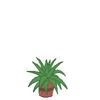 hortusamsterdam plant botanical agave hortus Sticker