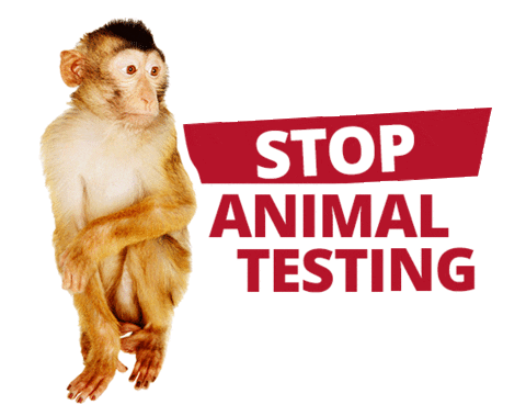 aerztegegentierversuche giphyupload vegan crueltyfree tierschutz Sticker