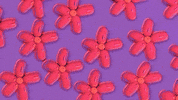 Pink Flowers GIF by UrjaVakta