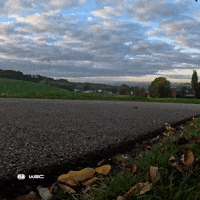 Excited On My Way GIF by FIA World Rally Championship