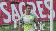 sl benfica slbgifs GIF by Sport Lisboa e Benfica