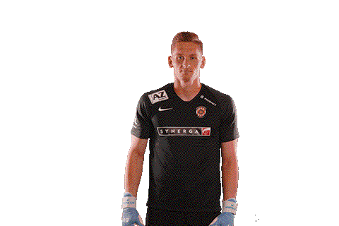 FCZBROJOVKABRNO giphyupload Brno zbrojovka floder Sticker