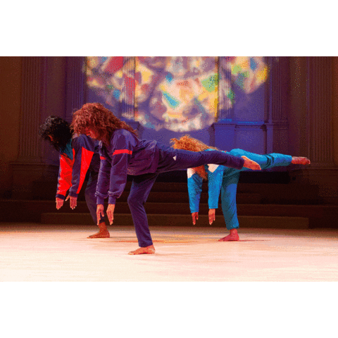 danspace giphyupload Sticker