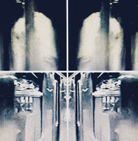 motion nyc GIF by Ryan Seslow