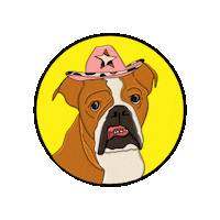 Animated Sticker