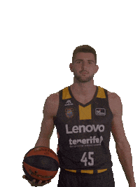 Liga Endesa Ball Sticker by ACB