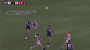 freodockers freodockers freohighlights aflfreosaints GIF