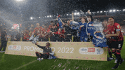 Premier League Promotion GIF by AFC Bournemouth