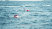 Shark Week Immersion GIF by Shark Week