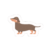Veterinaria Breeds Sticker by Sau Medical