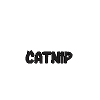 catniptakeout cats kitty playful kittens Sticker