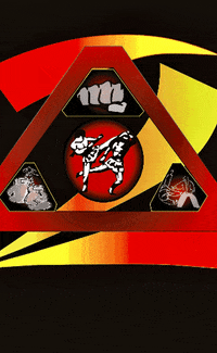 2Knuckles mma 2knuckles 2knucklesportsva 2knucklesports GIF